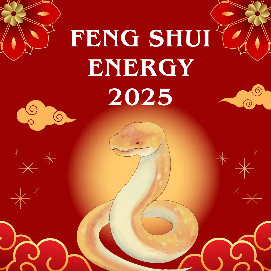 feng shui 2025 energy